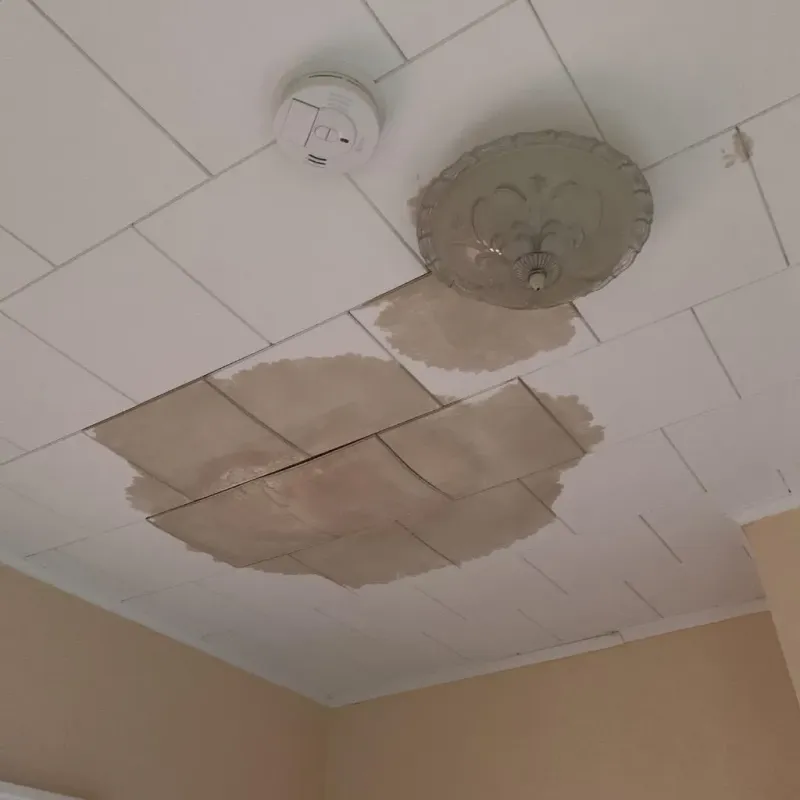 Ceiling Water Damage Repair in Adams Center, NY